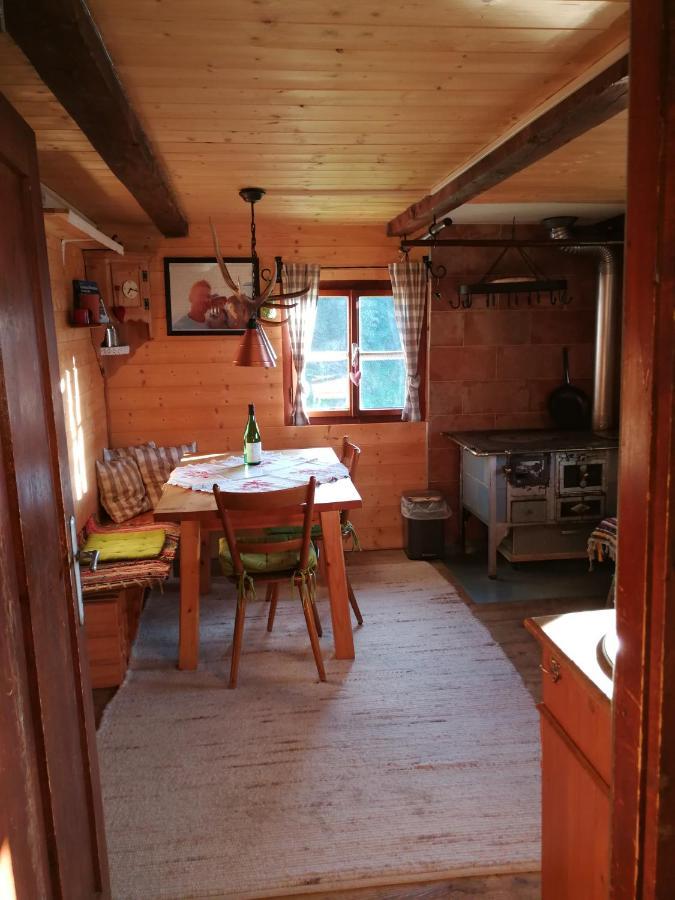 Villa Almhuette Andrea à Wildschoenau Extérieur photo